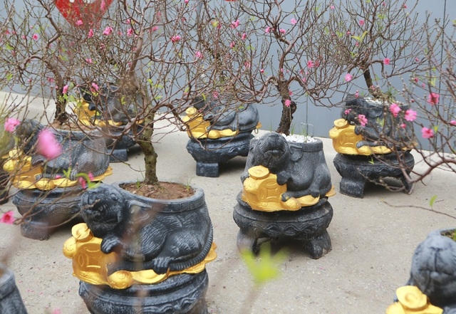 Muôn kiểu cây bonsai hình chuột độc đáo đón Tết Nguyên đán Canh Tý 2020 muon kieu cay bonsai hinh chuot doc dao don tet nguyen dan canh ty 2020