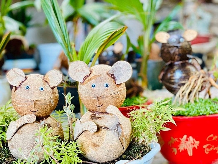 Muôn kiểu cây bonsai hình chuột độc đáo đón Tết Nguyên đán Canh Tý 2020 muon kieu cay bonsai hinh chuot doc dao don tet nguyen dan canh ty 2020