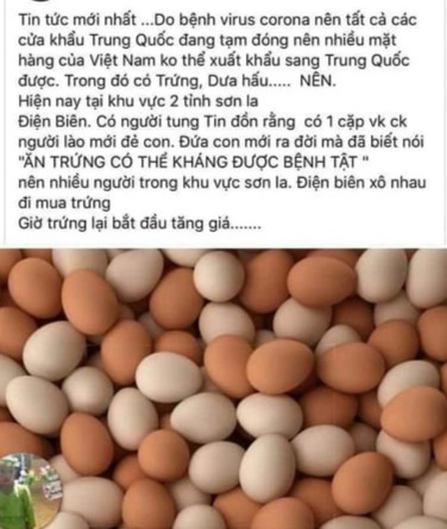 Xử lý người tung tin đồn ăn trứng gà và vịt có thể chống được virus Corona su that tin don an trung ga va vit co the chong duoc virus corona
