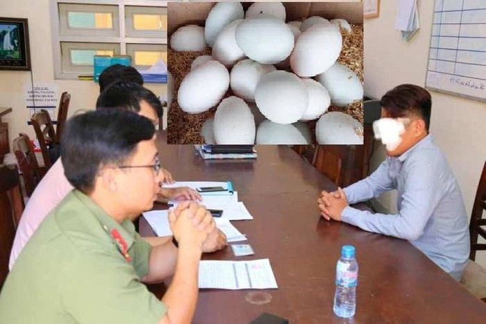 Xử lý người tung tin đồn ăn trứng gà và vịt có thể chống được virus Corona su that tin don an trung ga va vit co the chong duoc virus corona