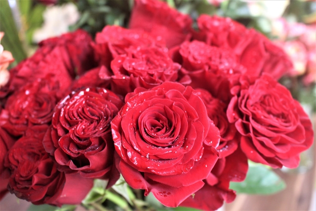 Gợi ý chọn quà cho bạn gái trong ngày Valentine 14/2 goi y chon qua cho ban gai trong ngay valentine 142