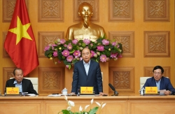 Đề nghị tạm dừng miễn thị thực đối với người Việt Nam định cư ở nước ngoài
