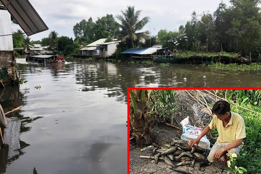 Vì sao sông ở miền Tây bất ngờ chuyển màu đen, bốc mùi hôi thối? vi sao song cai o mien tay bat ngo chuyen mau den boc mui hoi thoi