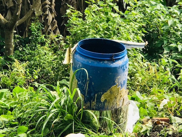 Nữ nghi phạm thứ 4 vụ thi thể trong bê tông từng là giảng viên đại học giat minh voi ly lich khong ai ngo toi cua nghi pham thu 4 vu 2 thi the trong be tong