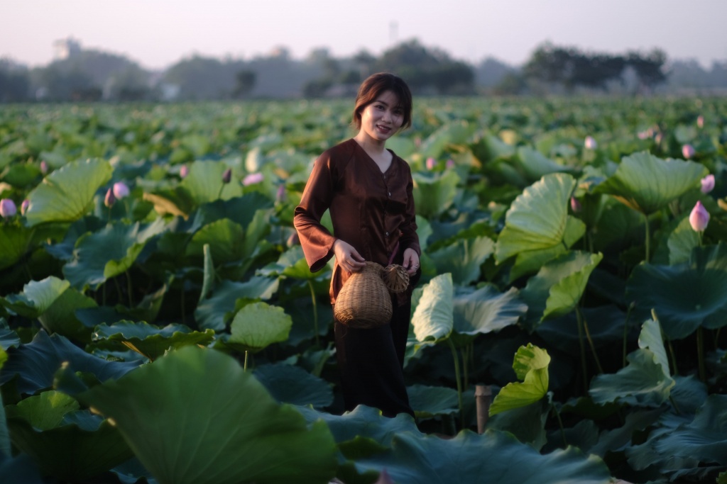 Chùm ảnh: Hương sắc sen Hồ Tây hút hồn người Hà Nội bất chấp cái nóng hơn 40 độ C chum anh huong sac sen ho tay hut hon nguoi ha noi bat chap cai nong hon 40 do c