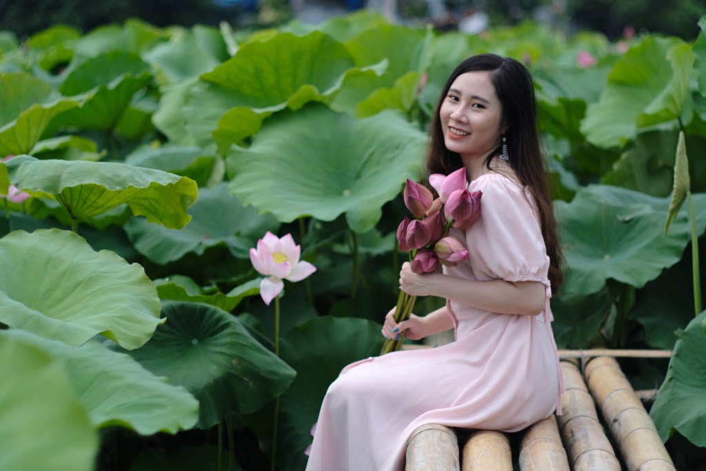 Chùm ảnh: Hương sắc sen Hồ Tây hút hồn người Hà Nội bất chấp cái nóng hơn 40 độ C chum anh huong sac sen ho tay hut hon nguoi ha noi bat chap cai nong hon 40 do c