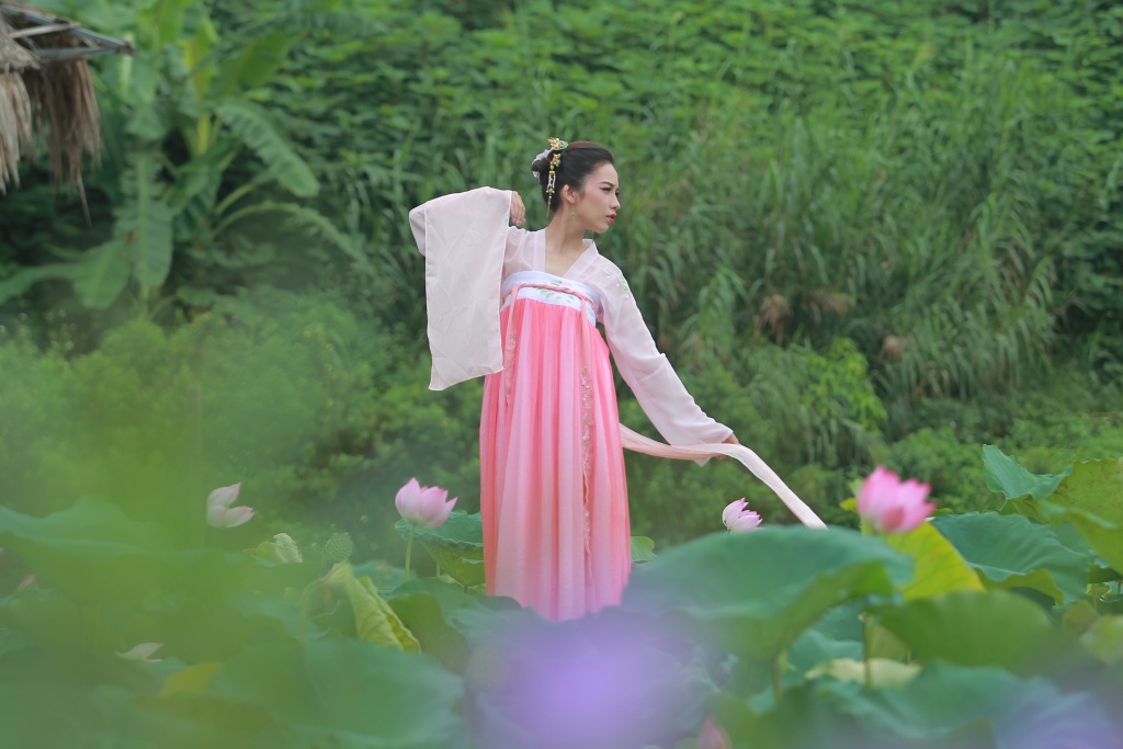 Chùm ảnh: Hương sắc sen Hồ Tây hút hồn người Hà Nội bất chấp cái nóng hơn 40 độ C chum anh huong sac sen ho tay hut hon nguoi ha noi bat chap cai nong hon 40 do c