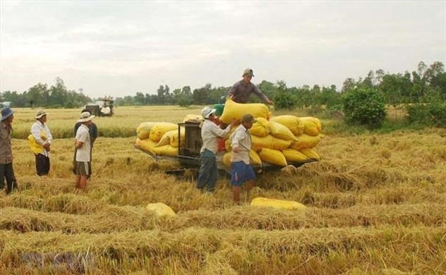 Những chính sách quan trọng có hiệu lực từ tháng 6 năm 2020 nhung chinh sach quan trong co hieu luc tu thang 6 nam 2020