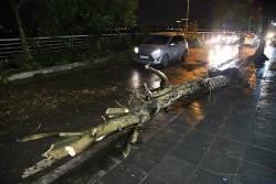 chum anh ha noi mua nhu trut o to xe may ngoac ngoai trong bien nuoc