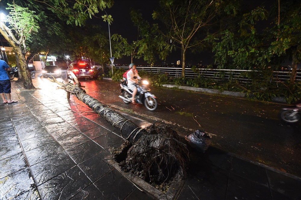 tin bao so 2 moi nhat nghe an ha tinh mua rat to ha noi cay do de trung nguoi