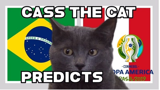 meo tien tri gay soc khi du doan ket qua brazil vs peru tai chung ket copa america 2019
