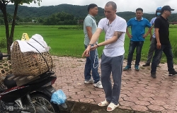 Vụ nữ sinh giao gà bị sát hại: Vì sao phải "thực nghiệm hiện trường" sau 6 tháng?