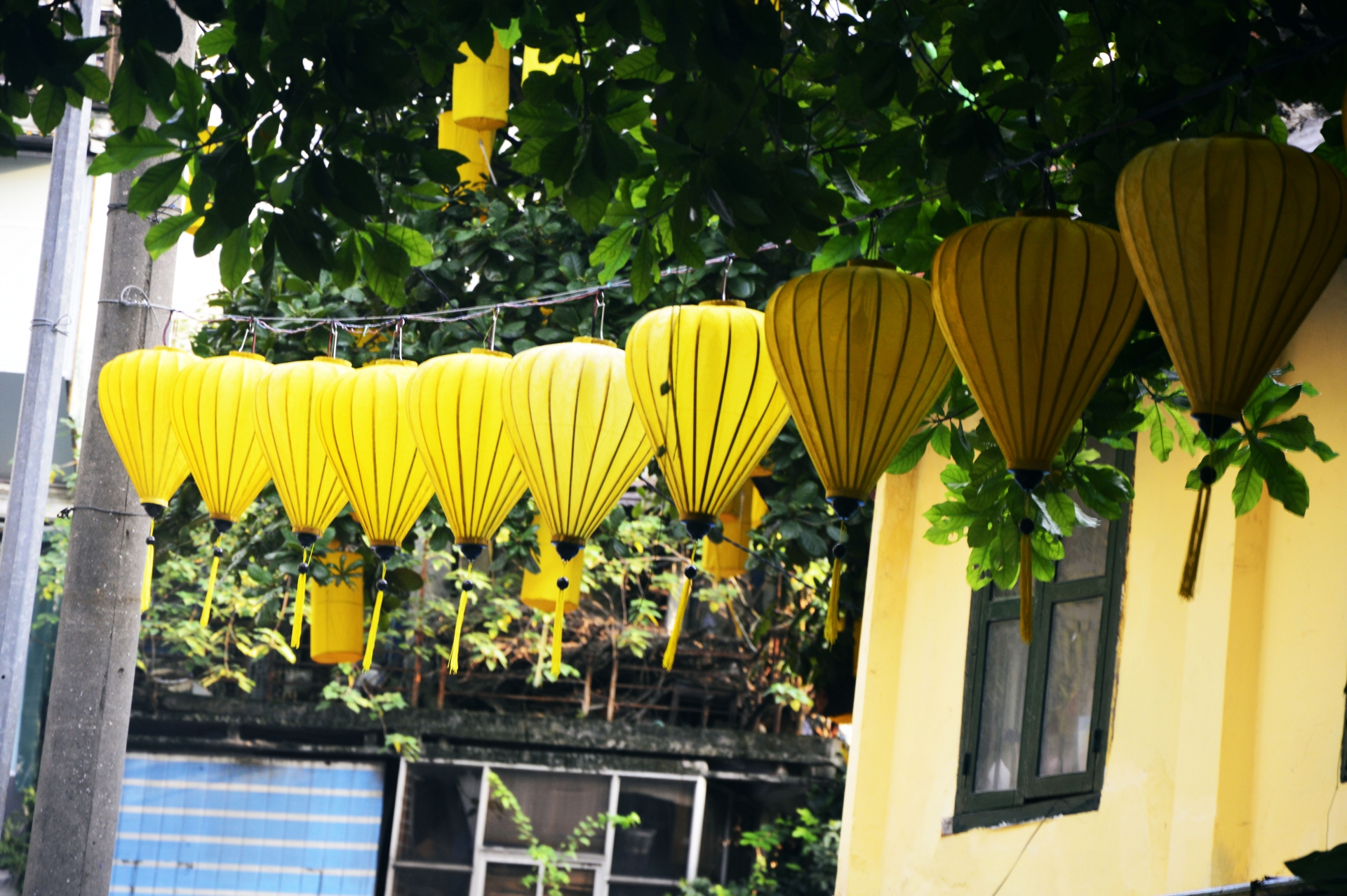 Chùm ảnh: Đi chơi Trung thu, người Hà Nội bất ngờ vì đèn lồng lơ lửng trên đầu chum anh di choi trung thu nguoi ha noi bat ngo vi den long lo lung tren dau