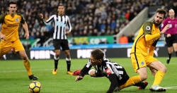 link xem truc tiep brighton vs tottenham 18h30 ngay 510