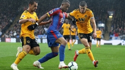 link xem truc tiep brighton vs tottenham 18h30 ngay 510