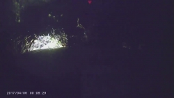 video o to lien tuc phanh gap roi bat ngo mat lai lao xuong ao