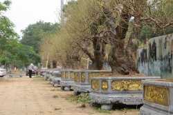 ha noi dam bao cung cau hang hoa binh on gia phuc vu don tet 2020