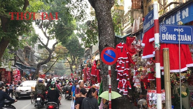 Chùm ảnh: Hàng loạt cây thông siêu to khổng lồ lung linh khắp phố phường Hà Nội chum anh hang loat cay thong khong lo do bo xuong pho ha noi
