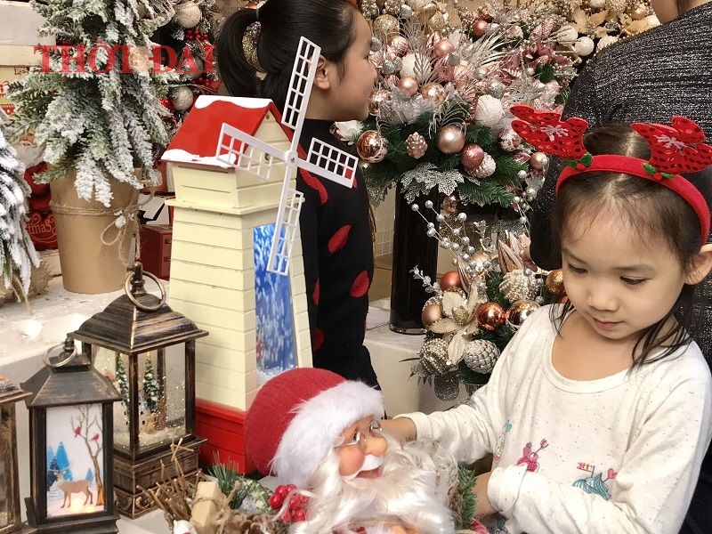Chùm ảnh: Hàng loạt cây thông siêu to khổng lồ lung linh khắp phố phường Hà Nội chum anh hang loat cay thong khong lo do bo xuong pho ha noi