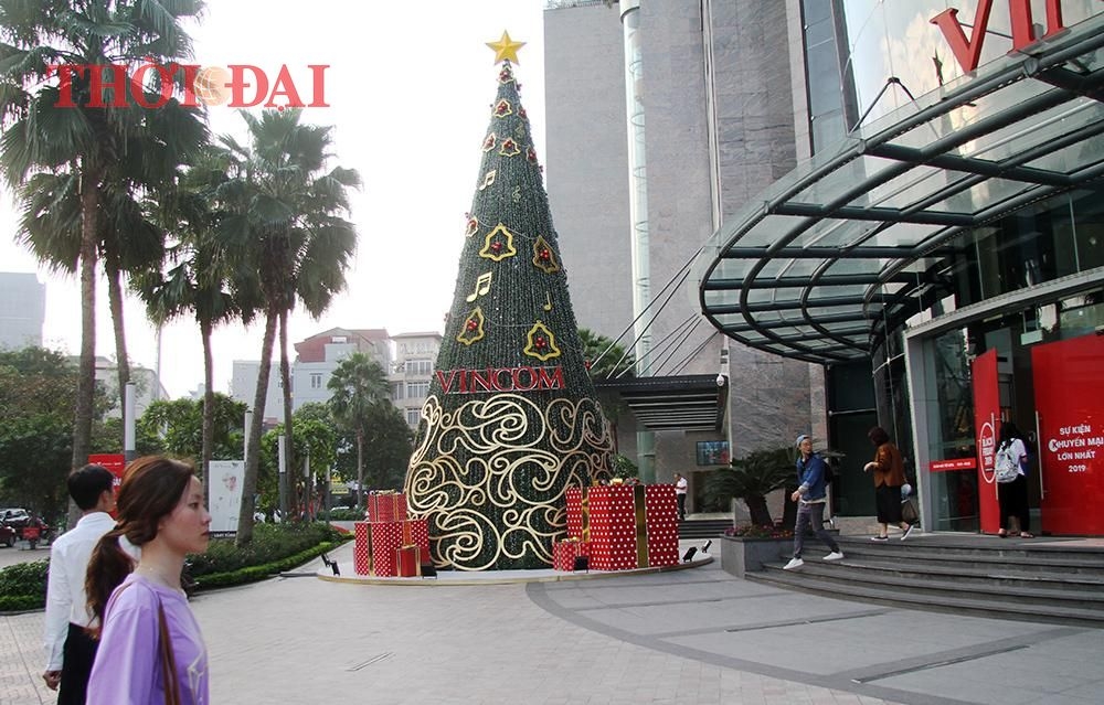 Chùm ảnh: Hàng loạt cây thông siêu to khổng lồ lung linh khắp phố phường Hà Nội chum anh hang loat cay thong khong lo do bo xuong pho ha noi