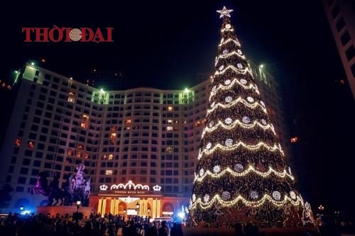 Chùm ảnh: Hàng loạt cây thông siêu to khổng lồ lung linh khắp phố phường Hà Nội chum anh hang loat cay thong khong lo do bo xuong pho ha noi
