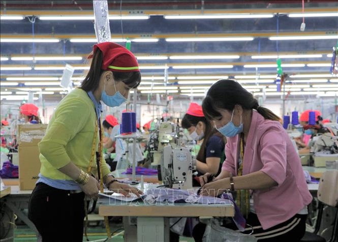 Hỗ trợ hợp tác xã do phụ nữ tham gia quản lý và tạo việc làm cho lao động nữ Chú thích ảnh