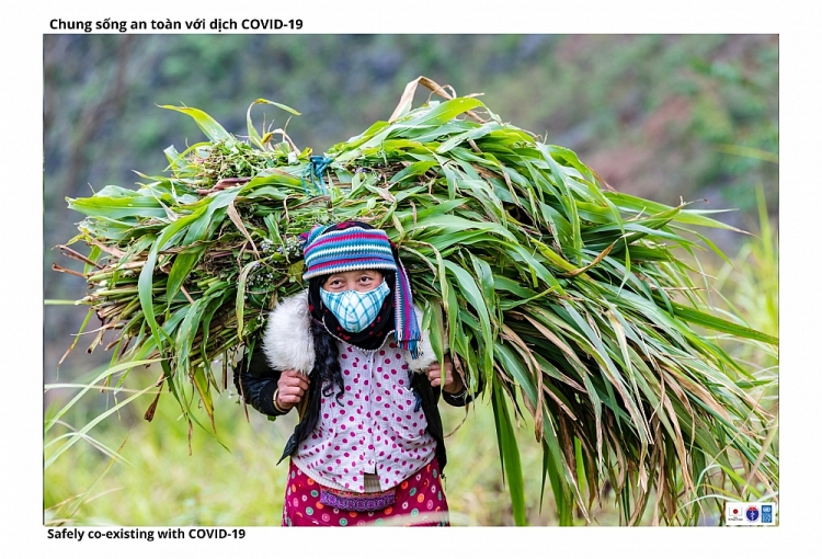 Đồng bào dân tộc Hà Giang vừa phát triển kinh tế bền vững, vừa chống dịch hiệu quả