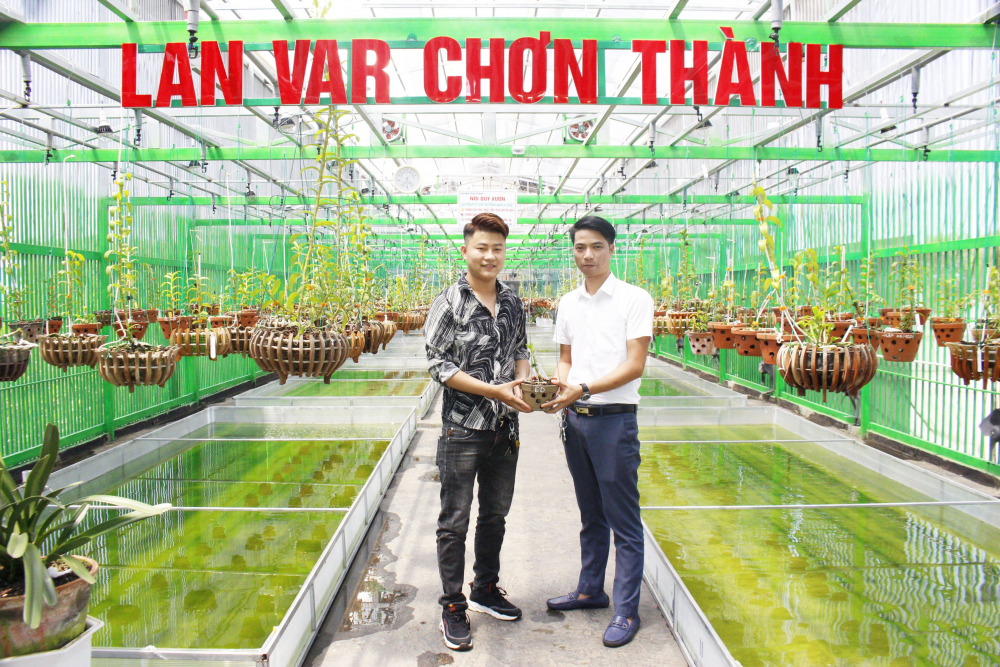 Vườn Lan Var Chơn Thành luôn được mọi người biết đến. Vườn Lan Var Chơn Thành luôn được mọi người biết đến.