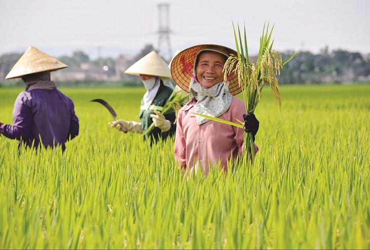 (Ảnh minh họa) (Ảnh minh họa)