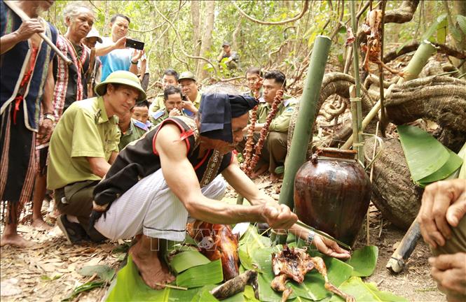 Nghi thức cúng Thần rừng ở Ia Grai Chú thích ảnh