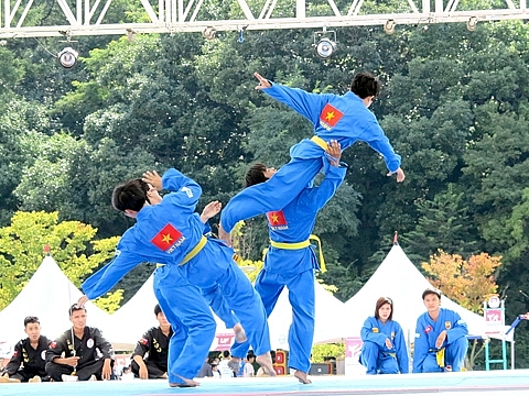 Muay Thái và Vovinam, hai phong cách của tinh thần thượng võ Muay Thái và Vovinam, hai phong cách của tinh thần thượng võ