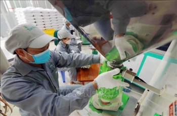 Nhiều tổ chức quốc tế lạc quan về kinh tế Việt Nam