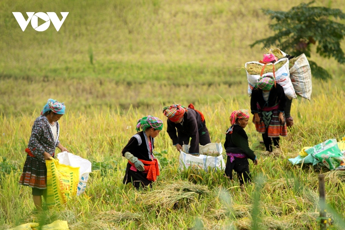 chính phủ việt nam ưu tiên tăng trưởng kinh tế gắn với chăm lo cho người nghèo hình ảnh 1 chinh phu viet nam uu tien tang truong kinh te gan voi cham lo cho nguoi ngheo hinh anh 1