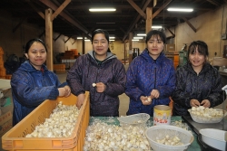 thanh nien viet nam va nhung kho khan tai nhat ban