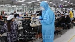 Поддержка работадателей в период падемии COVID-19