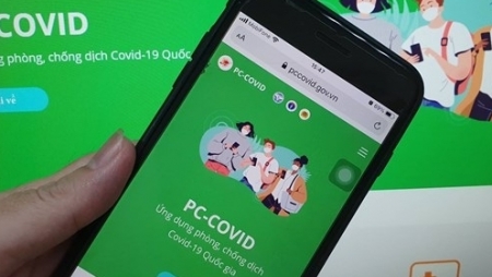 Единое приложение для профилактики COVID-19