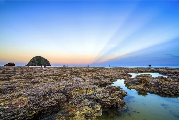 vietnam top destinations stunning coral reefs in hon yen island