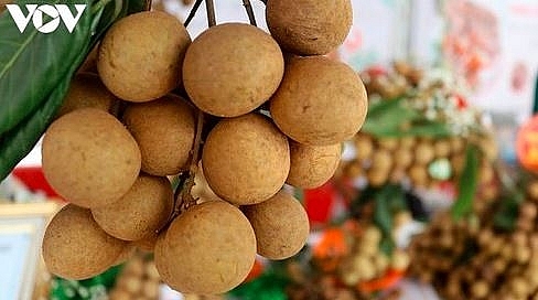 undefined 1603 fruit