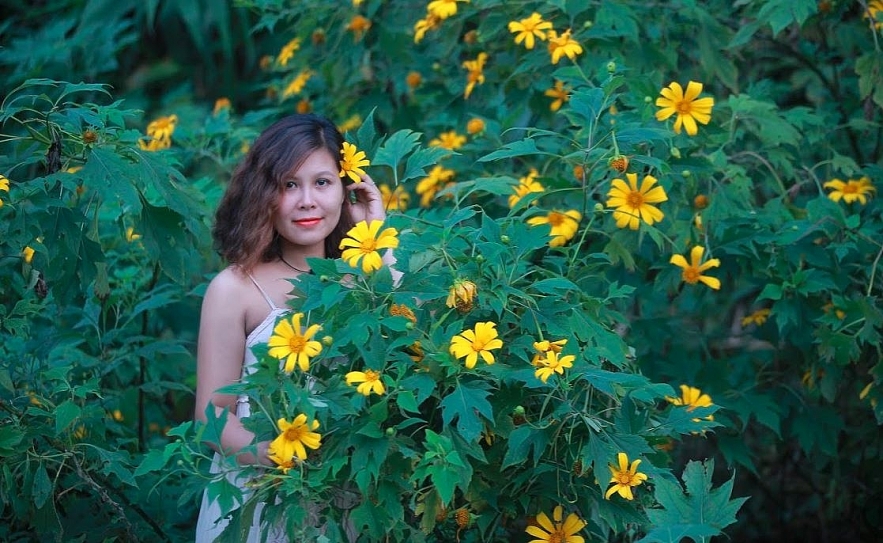 undefined 4029 wild sunflower 1