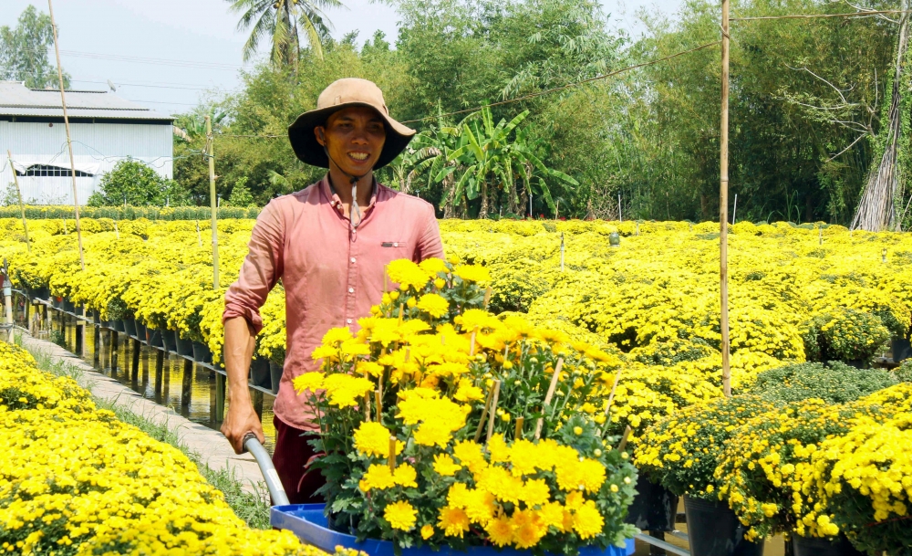 Đồng Tháp tri ân, tôn vinh những người trồng hoa Đồng Tháp tri ân, tôn vinh những người trồng hoa