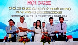 Tìm đường cho"con cá, củ khoai" Kiên Giang tiến vào thị trường Trung Quốc