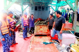 tin phap luat 24h nong nhat hom nay 116 loc xoay o vinh phuc 21 nguoi thuong vong