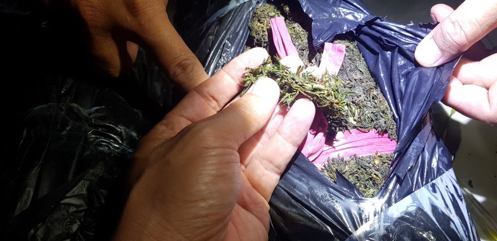 Biên phòng An Giang mật phục, thu giữ 20 kg nghi là cần sa tại khu vực giáp biên Biên phòng An Giang mật phục, thu giữ 20 kg nghi là cần sa tại khu vực giáp biên