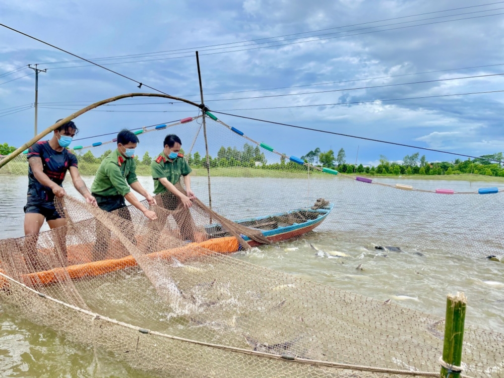 Hành trình 200 tấn gạo và 27 tấn cá tươi đến tay người dân gặp khó do dịch Covid-19 Hành trình 200 tấn gạo và 27 tấn cá tươi đến tay người dân gặp khó do dịch Covid-19