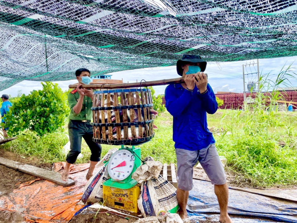 Hành trình 200 tấn gạo và 27 tấn cá tươi đến tay người dân gặp khó do dịch Covid-19 Hành trình 200 tấn gạo và 27 tấn cá tươi đến tay người dân gặp khó do dịch Covid-19