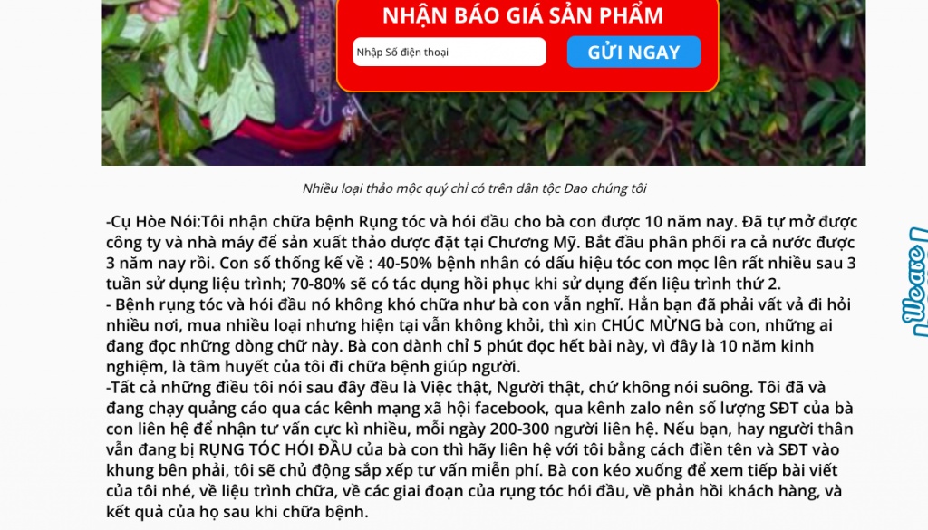 Tinh dầu Hyra mọc tóc "gia truyền bà Hòe": Quảng cáo có đúng sự thật? tinh dau hyra moc toc gia truyen ba hoe quang cao sai su that co dau hieu lua dao