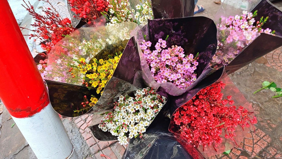 Việt Nam bừng sắc hoa Việt Nam bừng sắc hoa