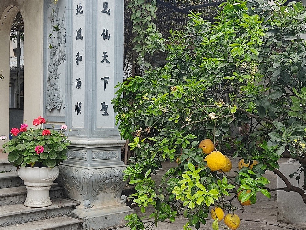 Việt Nam bừng sắc hoa Việt Nam bừng sắc hoa