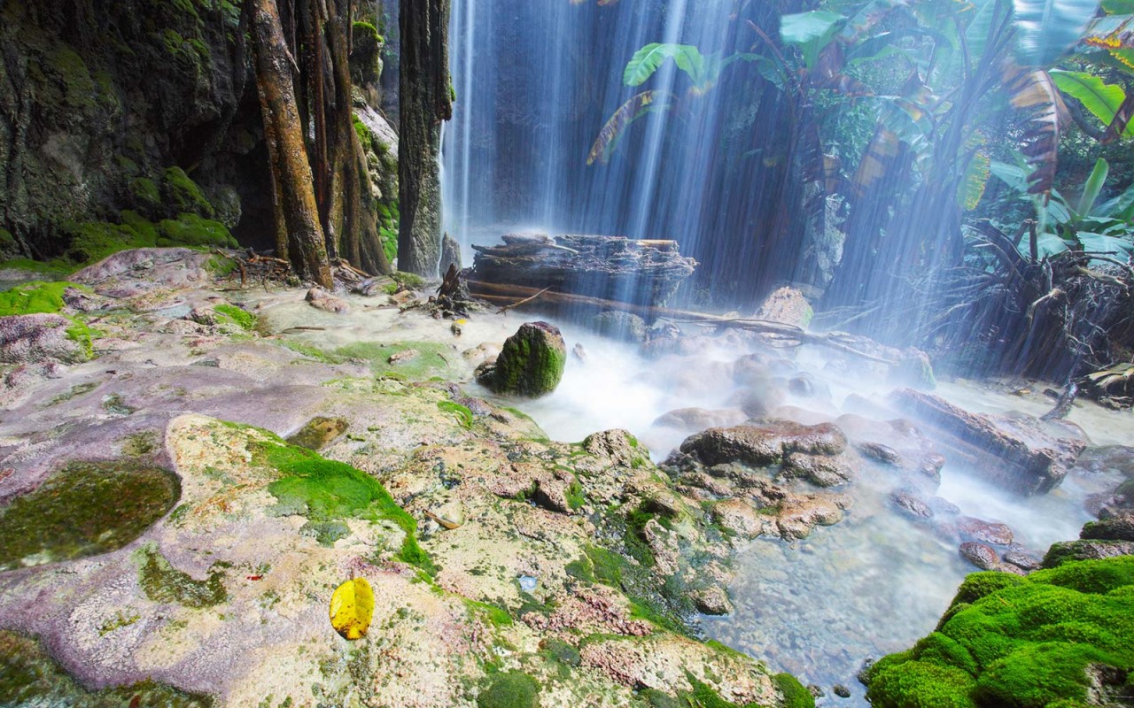 Photo: BRIAN OVERCAST / ALAMY Photo: BRIAN OVERCAST / ALAMY