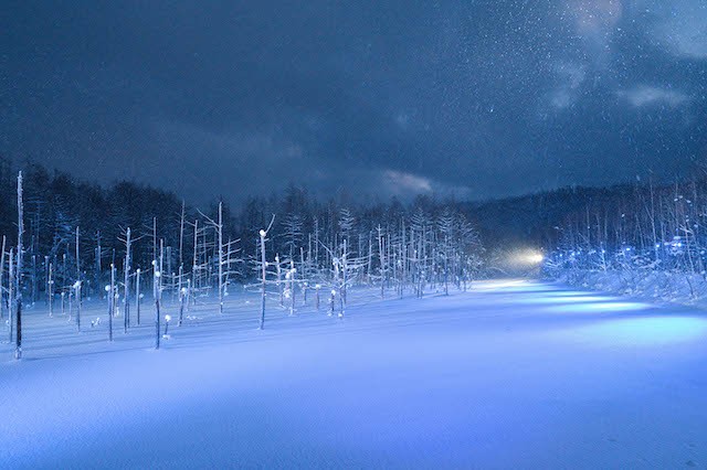 A White Hokkaido in Snowstorm Captured by Vietnamese Street Photographer A White Hokkaido in Snowstorm Captured by Vietnamese Street Photographer